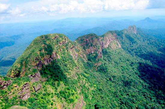 Maya Mountains Belize